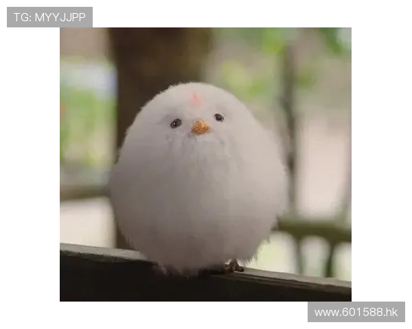 忠诚的守护者，不渝的陪伴——忠狗德拉姆的传奇故事